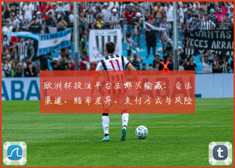 欧洲杯投注平台去哪买输赢：合法渠道、赔率差异、支付方式与风险提示