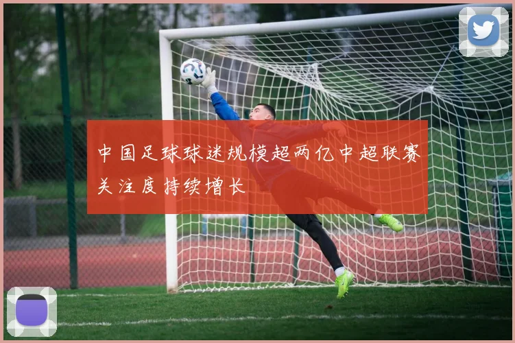 中国足球球迷规模超两亿中超联赛关注度持续增长