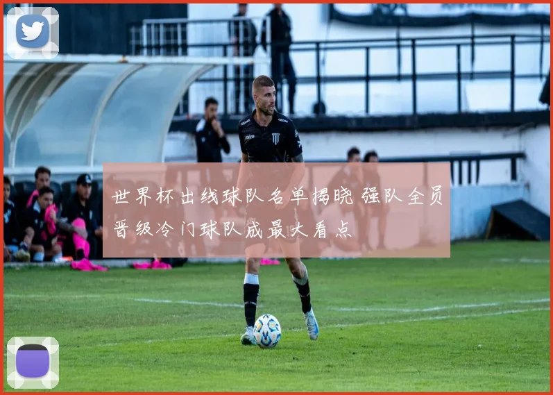 世界杯出线球队名单揭晓 强队全员晋级冷门球队成最大看点