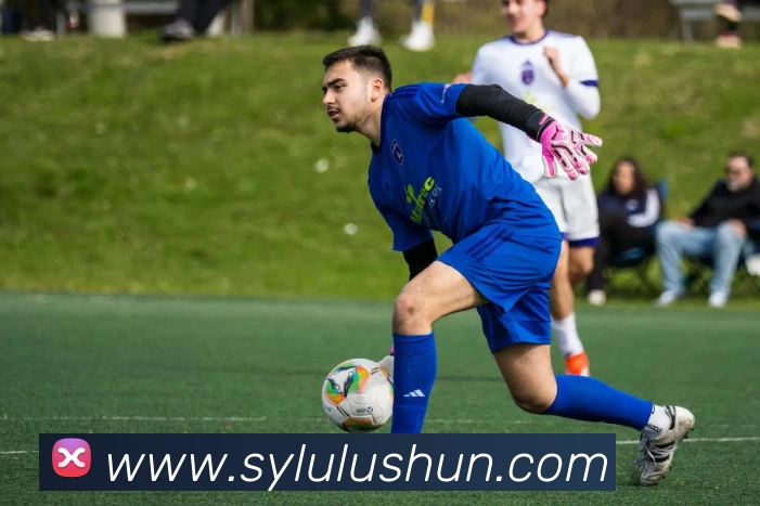 App Interface Preview