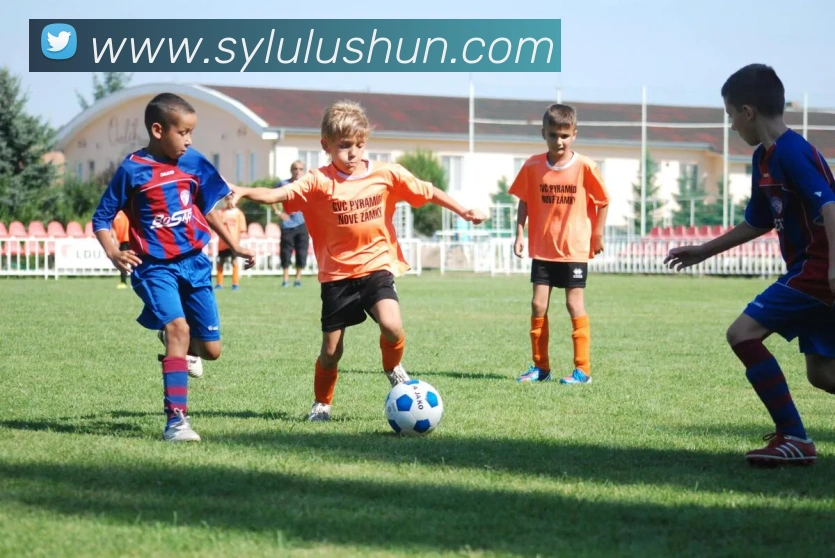 米兰app官网入口APP 封面图