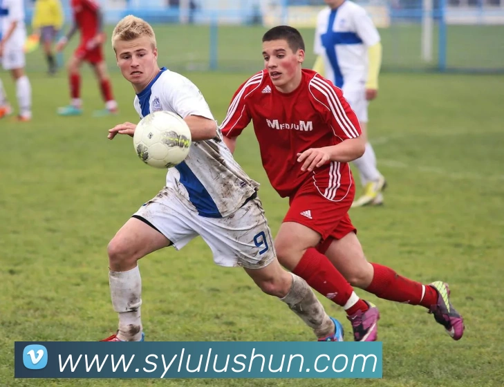 数据防护可视化